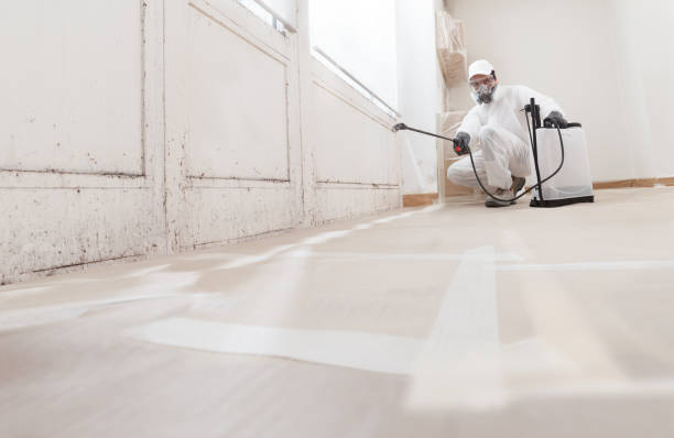 24/7 Emergency Mold Cleanup experts in Deerfield, IL