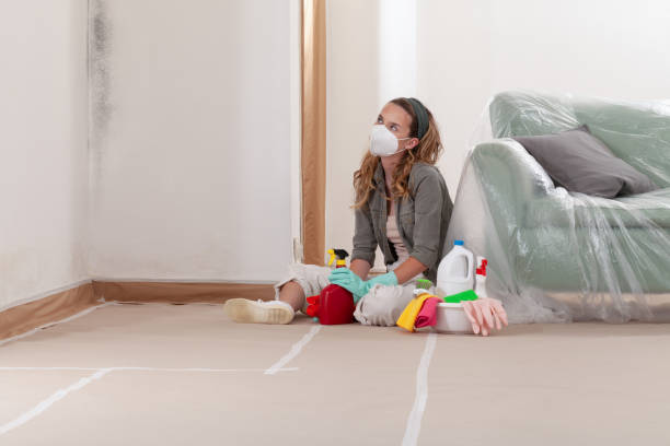 Reliable Mold Cleanup contractor in Deerfield, IL by WQB Mold Removal